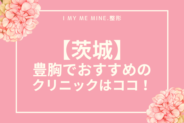 豊胸,茨城